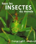 Tous les insectes du monde