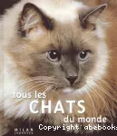 Tous les chats du monde