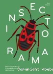 Insectorama