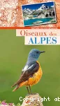 Oiseaux des Alpes