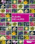 Fleurs des Alpes