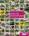 Insectes en montagne